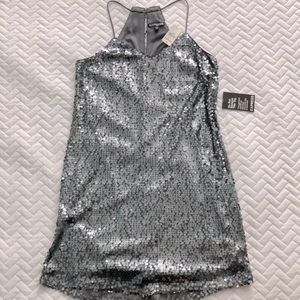 Express Silver Sequin Dress